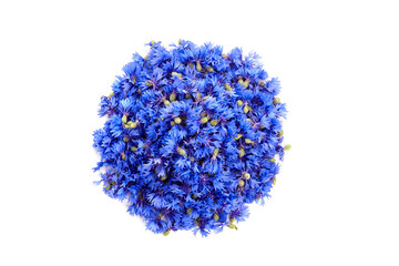 Medicinal herbs - cornflowers isolated on white background