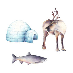 Set of watercolor illustrations: reindeer, Igloo house and fish. It's perfect for winter design