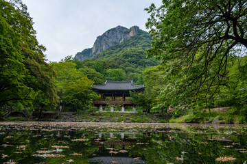 Baegyangsa Temple, located at the foot of Baegyangsan Mountain of Honam Mountains, is the origin of the Honam Buddhism created by Monk Yeohwan in the 33rd year of King Mu of the Baekje Kingdom.
