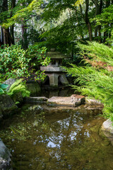 Fototapeta na wymiar Japanese garden in in Spa Gardens Oberlaa, Vienna, Austria