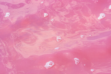 Background of water in pink lake. Natural pattern