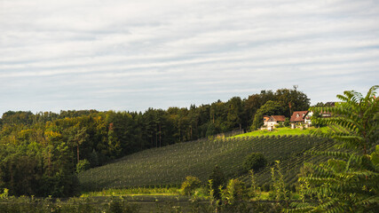 Puch bei Weiz town on apple street famous for apple orchards in region Styria. © Przemyslaw Iciak