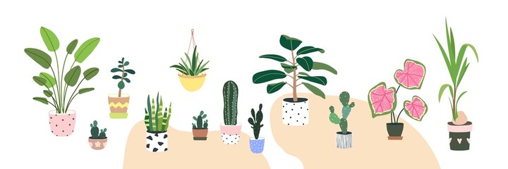 Home plants in flowerpot. Houseplants isolated. Set collection. Trendy hugge style, urban jungle decor. Hand drawn. Green, blue, pink, yellow, beige, white colors. Print, poster, banner. Logo, label.