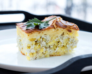 Delicious pie with potatoes and chicken on a plate