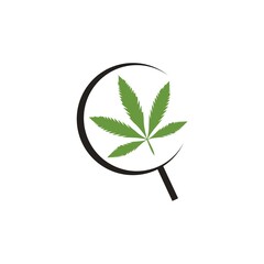 researching marijuana leaves
