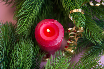 A red candle in the green branches of a fir tree.