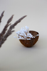 wooden ear sticks in a coconut cup.  zero waste concept
