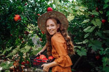 Red pomegranate garden with a happy redhead girl in a hat in an orange dress. Woman in a pomegranate garden with big red fruits in .fruit box, with an amazing smile