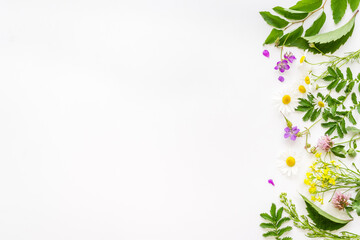 Medicine wild herbs and flowers top view