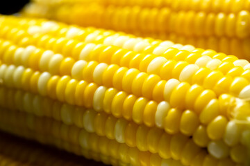 ゆでた　とうもろこしのアップ
