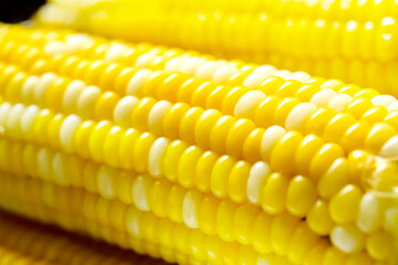 ゆでた　とうもろこしのアップ
