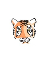 tigre orange
