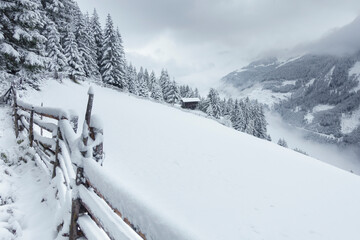 Alm- oder Skihütte am Waldrand in den verschneiten Bergen