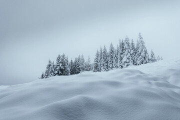 Schneelandschaft mit Winterwald in Österreich