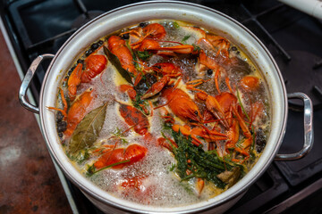 Crayfish are boiling in a large saucepan with dill on the fire