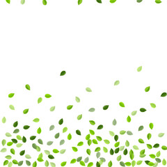 Grassy Leaf Abstract Vector Wallpaper. 