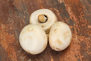Raw Champignon heap for cooking