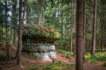 skalne grzyby - Błędne skały, Dolina Kłodzka, Polska