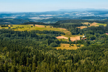  Dolina Kłodzka - piękna panorama na łąki i pastwisko pośród lasów - obrazy, fototapety, plakaty