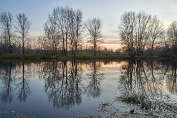 Autumn view of the lake, in the forest with Golden leaves . Autumn time in the forest. Autumn.