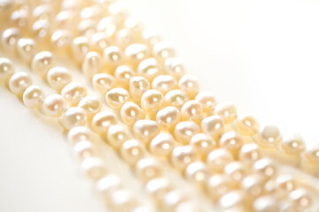 パールのアップと白バックとコピースペース