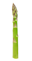Asparagus isolated on white background. Raw asparagus.  Vegan Food concept..