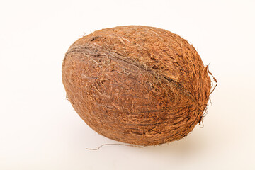 Tropical brown coconut over background