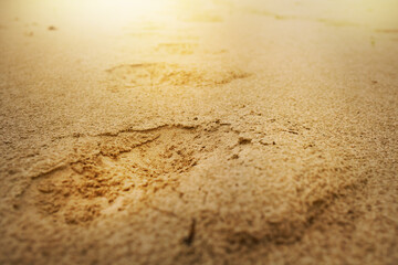 Fototapeta na wymiar The footprint of a man on the sand in the sunlight