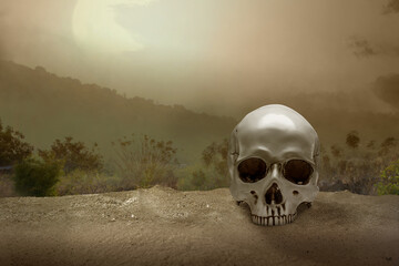 Human skull on the ground