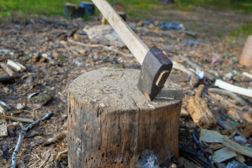 An axe in a chock. Wood harvesting in the forest.