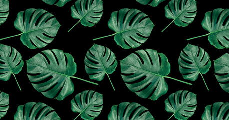 Pattern of green leaves on black.