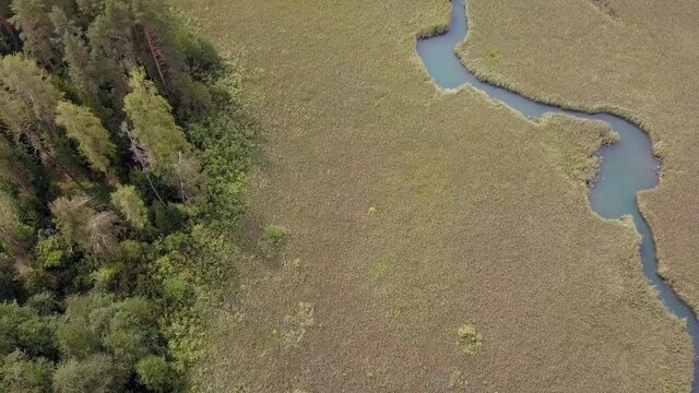 Aerial view over inflow through reeds to Lake 'Faaker See' in Carinthia (Kaernten), Austria.
