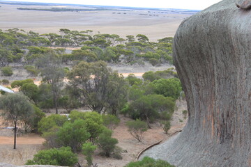 Pildappa Rock, Eye Peninsula, Minippa, huge rock formation, South Australia, landscape Down under