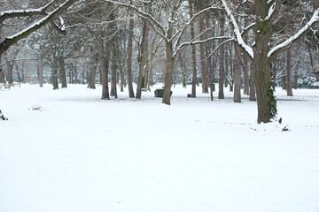 winter im prater park wien