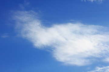 秋空にポッカリ浮いた白い雲