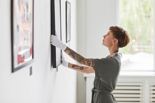 Side view portrait of tattooed creative woman hanging paintings on wall while planning art gallery exhibition, copy space