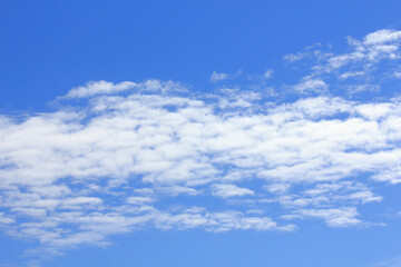 秋空にポッカリ浮いたうろこ雲