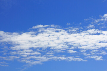 秋空にポッカリ浮いたうろこ雲