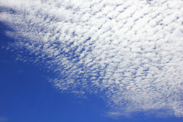 Obraz premium 秋空とうろこ雲