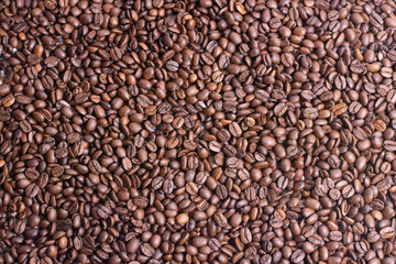COFFEE BEANS BACKGROUND