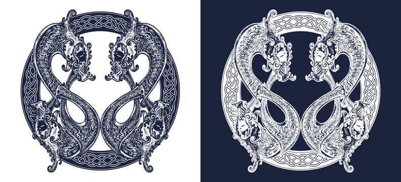 Two dragons in celtic style, tattoo. Meditation, philosophy, harmony symbol. Black and white vector graphics