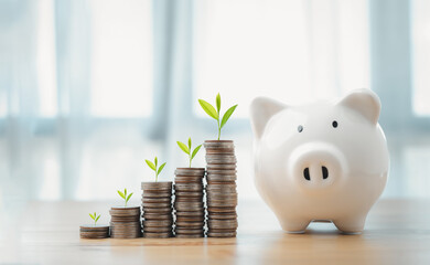 business finance and saving money investment , Money coin stack growing graph with piggy bank...
