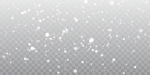 Falling snowflakes on transparent background. Christmas snow. Vector illustration