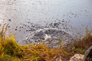 Little rain droplets on a lake after rock thrown