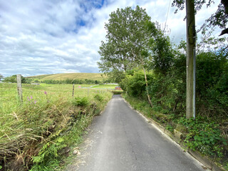 Fototapeta na wymiar Country road, with fields, trees, and distant hills on, Hill End Road, Delph, Oldham, UK