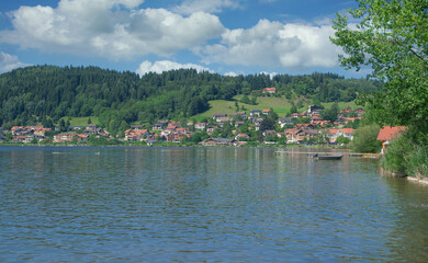Fototapeta na wymiar Hopfen am See am Hopfensee,Allgäu,Bayern,Deutschland