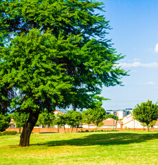 Random pictures snapped on a walk