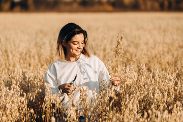 A young woman in an oat field holds a bunch of ripe ears of corn.