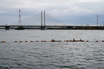 湖と橋