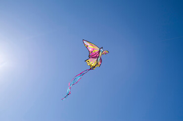 Colorful butterfly kite in blue sky